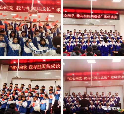 红心永向党 我与祖国共成长——县关工委在马头镇中学成功举办文化艺术展示活动